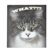 Kitty fâché bloc mémo