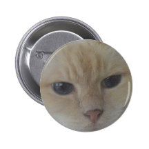 Kitty (Hughie) Badge Avec Épingle