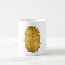 Kiwano fruit fruit mugs
