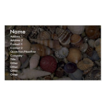 Kleine shells Shell Visitekaartjes