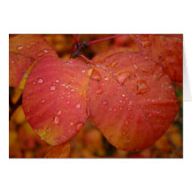 kleuren van herfst kaart