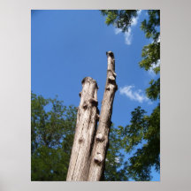 knobbelige boom posters