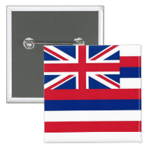 Knoop met Vlag van Hawaï Speld Button