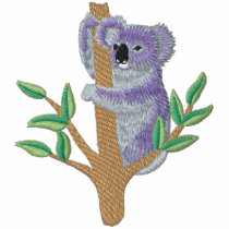 Koala australien