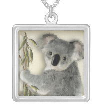 Koala mignon