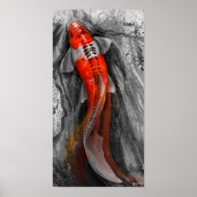 Koi débordant posters