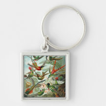 Kolibrie (Trochilidae) door Haeckel Keychain Sleutel Hangers