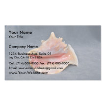 Koningin Conch Shell Visitekaartje