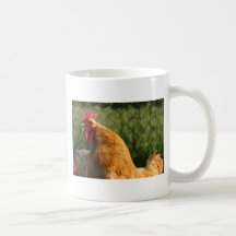 Koppen Koffie Beker