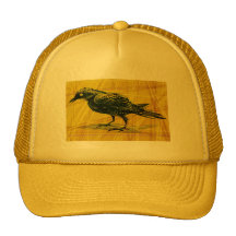 kraai-F1 Trucker Pet