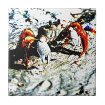 Krab Geboortetegeltje