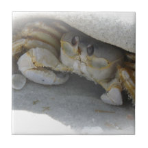 Krabbe im Sand Fliesen