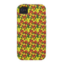 Kruidig Voedsel iPhone 4/4S Case