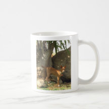Kudo van Jamul Koffie Mokken