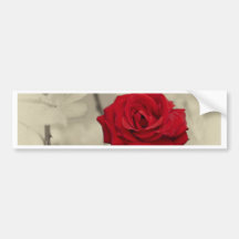 _L0S7918.jpg Bumperstickers