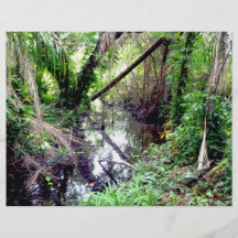 La chute des arbres la rivière Green encaisse Post Prospectus