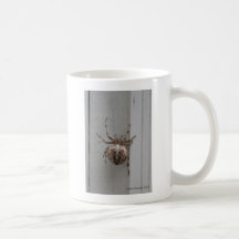 La conception complexe d'arachnide tasse