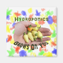 La culture hydroponique cultive sur vous le Habane Magnets Pour Réfrigérateur