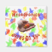 La culture hydroponique élève sur vous la main de  magnets