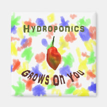 La culture hydroponique se développe sur vous, poi magnets