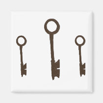 La fausse clé magnets
