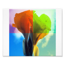 La fleur d'art de bruit dans la couleur différente photo