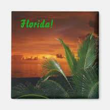 La Floride ! Aimant Pour Réfrigérateur