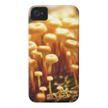La forêt Trifles coque iphone Étui iPhone 4