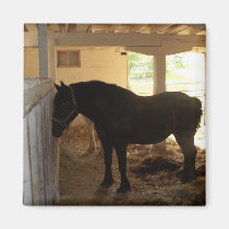 La grange de cheval magnets
