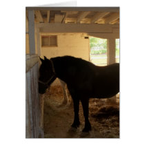 La grange de cheval cartes