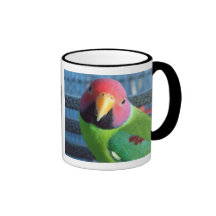 La jolie prune de Sittin a dirigé la perruche Tasse À Café