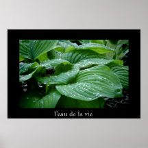 la La du l'eau De luttent Posters