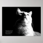 La lumière de la légende affiche