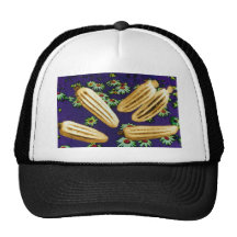 la marguerite des prés jaune sème des fleurs (de p casquette de camionneur
