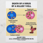 La mort d'un virus par une cellule T de tueur (imm Prospectus