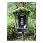 La mousse a couvert la cabine de téléphone carte postale