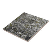 La mousse a couvert la texture de roche carreaux en céramique