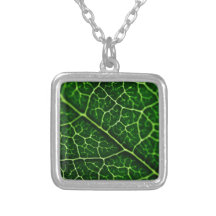 La nature verte pousse des feuilles les arbres ver pendentif