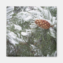 La neige a couvert le cône de pin magnets pour réfrigérateur
