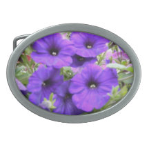 La pensée pourpre fleurit la boucle de ceinture