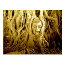 La tête de Bouddha empêtrée dans la figue s'enraci Cartes Postales