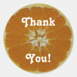 La tranche orange de fruit, remercient, vous ! autocollants