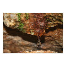 La vie impressions photo