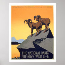 La vie sauvage de conserve WPA 1939 Posters
