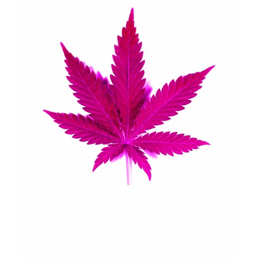 la_vraie_feuille_medicale_de_cannabis_kush_ros_tshirt-p235223579589317888bh25c_525.jpg