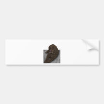Laboratoire de chocolat adhésif pour voiture