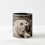 Labrador - jaune mug