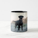 Labrador - noir tasse à café