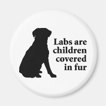 Labradors sont des enfants de fourrure magnets