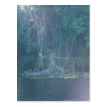 Lac Barrine Carte Postale
